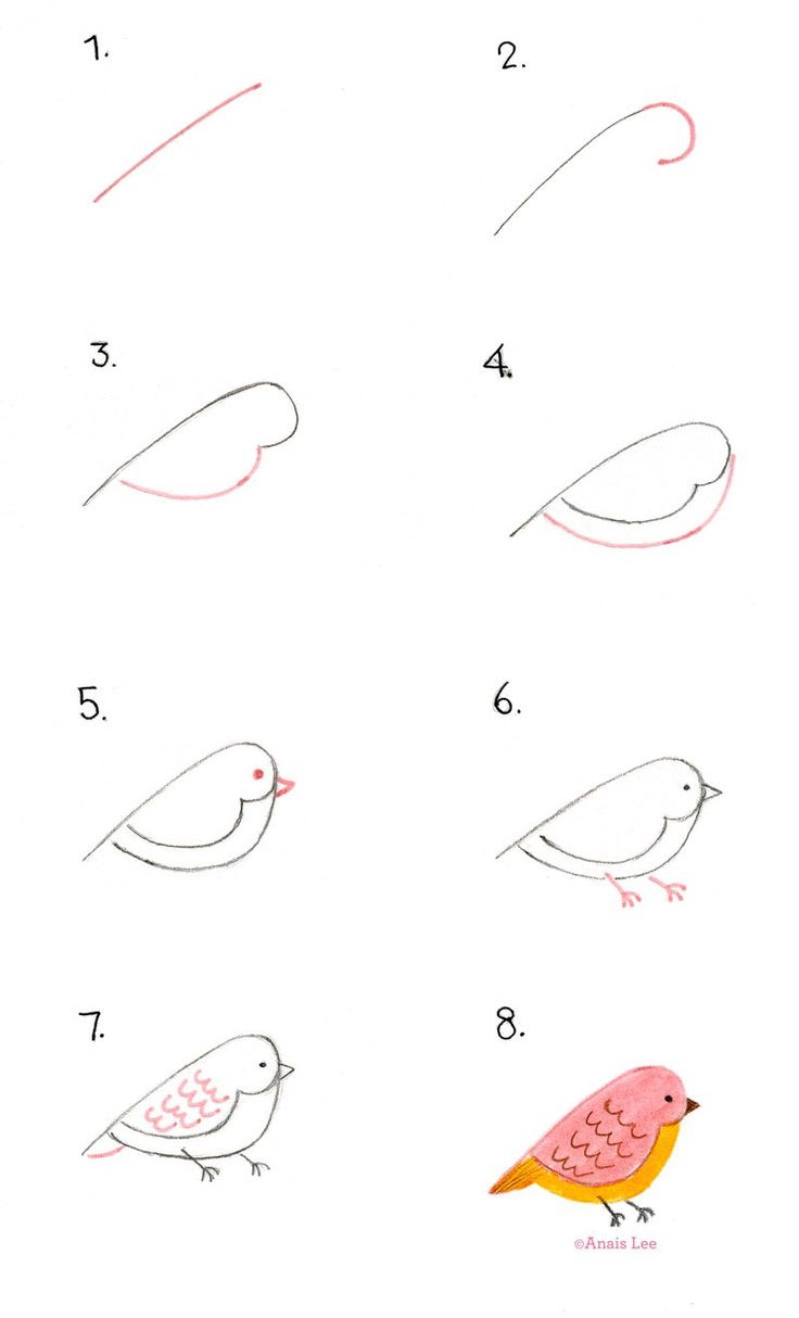 Simple Bird Clipart 28